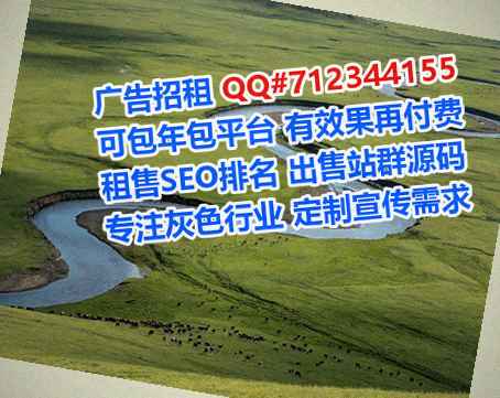 武侯生子新能源公司